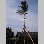 06 eine riiiiisige Zwillingstanne steht in unserem Garten.JPG